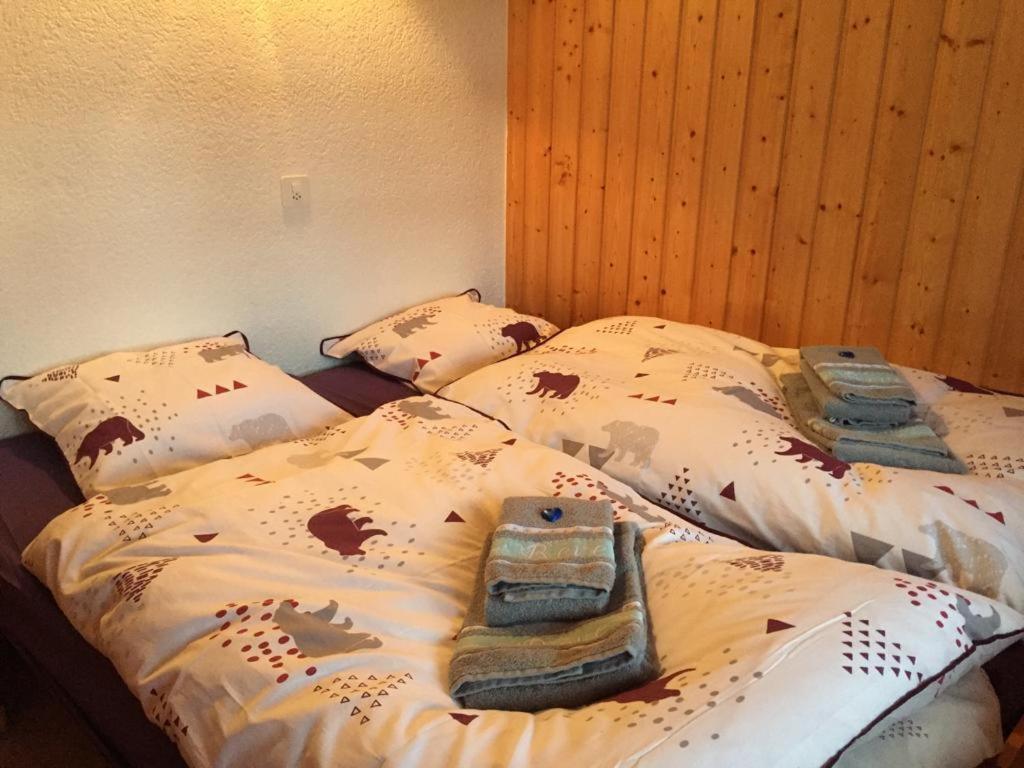 Chalet Michel Bruson Luaran gambar